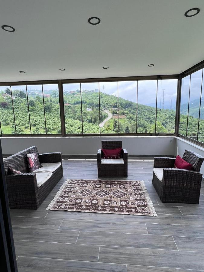 Apartment Next